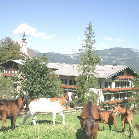 Torrenerhof Hotel Golling an der Salzach Luaran gambar