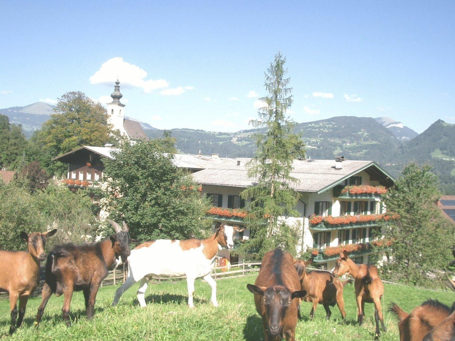 Torrenerhof Hotel Golling an der Salzach Luaran gambar